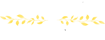 Reflection Cards